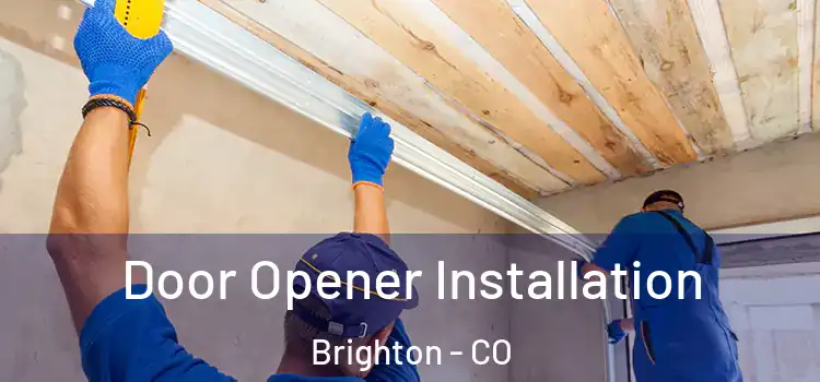  Door Opener Installation Brighton - CO