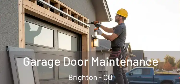 Garage Door Maintenance Brighton - CO