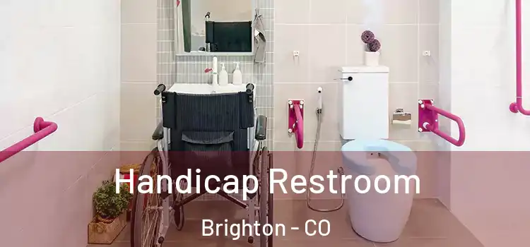  Handicap Restroom Brighton - CO