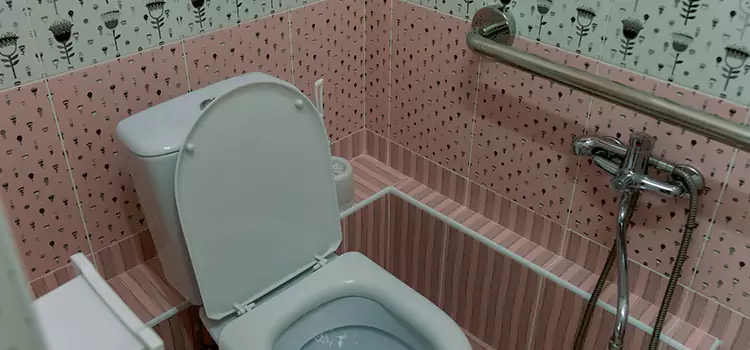 Meeting Diverse Needs With Accessible Restroom Solutions in Brighton, CO