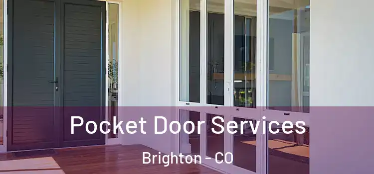 Pocket Door Services Brighton - CO
